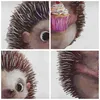 Bild auf Leinwand - Leinwandbild - Einteilig - Igel Cupcake Produktbild-Vorschau 8