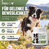 REAVET Grünlippmuschel Kapseln 100 Stück Hund hochdosiert - Produktbild-Vorschau 2