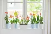 elho brussels Orchidee Hoch 12,5cm Übertopf - transparent Produktbild-Vorschau 8