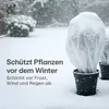 Praknu Wintervlies für Pflanzen Frostschutz 50g/m² - 20m × Produktbild-Vorschau 2