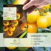 Tomatensamen (Golden Queen, 10 Korn) - Tomaten Saatgut aus Produktbild-Vorschau 2