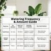 Système d'arrosage Arrosage automatique pour 10 plantes en Voir les images du produit 9