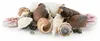 Aquarium Deko, Muscheln Naturmix 100 g Produktbild-Vorschau 3