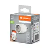 Ledvance Smart+ Plug Steckdose für innen SmartHome App Produktbild-Vorschau 2