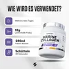 Marine Collagen (300G) Produktbild-Vorschau 3