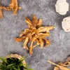 5 kg Lyra Pet® Lammkopfhaut dunkel Produktbild-Vorschau 7