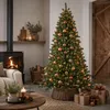 Black Box Trees Arbre de Noël Toronto - H215 x Ø132 cm - Voir les images du produit 9