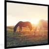 MuchoWow® Gerahmtes Poster Pferde - Sonne - Tiere 40x40 cm Produktbild-Vorschau 1