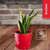 KADAX Doniczka Plastikowa z Podstawką Donica Osłonka Kwiaty Podgląd zdjęcia produktu 3