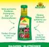 Neudorff Balsamol Blattdünger 250 ml reicht für 80L Produktbild-Vorschau 2