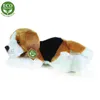RAPPA Plüsch Beagle Hund liegend 30 cm ECO-FRIENDLY Produktbild-Vorschau 4