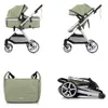 CHIPOLINO Kombi Cat Vista 2in1 Basil Produktbild-Vorschau 4
