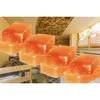 Salz blokken voor wanddecoratie, afmetingen 200 x 100 x 50 Productafbeelding-voorbeeld 2