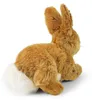 Peluche Lapin 23 Cm Ecologique Voir les images du produit 4