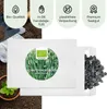 Schnittknoblauch Samen - Küchenkräuter Saatgut aus Produktbild-Vorschau 4