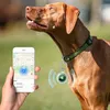 A dog wearing a collar with a tracker, and a hand holding a smartphone showing the tracker's location. Produktbild-Vorschau