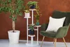 A plant stand with multiple potted plants next to a green armchair. Anteprima dell’immagine prodotto