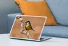 MuchoWow® Laptop Aufkleber Sticker Cover Vogel - Kohlmeise Produktbild-Vorschau 4