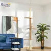 PawHut, albero per gatti, tiragraffi, struttura per Anteprima dell’immagine prodotto 2