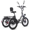 A studio shot of a gray electric tricycle with a black seat and basket, against a white background. Náhled obrázku produktu