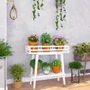 A collection of potted plants displayed on a white tiered plant stand against a textured gray wall. Produktbild-Vorschau