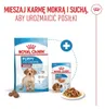 Royal Canin Medium Puppy, Štěně, Střední (11 - 25kg), Náhled obrázku produktu 21