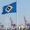 Hamburger SV HSV bandiera giardino orto calcio Anteprima dell’immagine prodotto 2