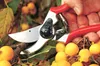 Felco 11 Classic Gartenschere Produktbild-Vorschau 7