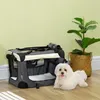 A dog is lying next to a foldable dog crate, with a potted plant in the background. Produktbild-Vorschau