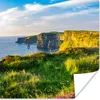 MuchoWow® Poster Irische Blumen an den Cliffs of Moher Produktbild-Vorschau 1