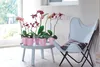 elho brussels Orchidee Hoch 12,5cm Übertopf - transparent Produktbild-Vorschau 4