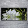 Glasbilder 120x60 Wandbild Druck auf Glas Blume Steine Produktbild-Vorschau 2