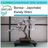 SAFLAX - Zestaw prezentowy - Bonsai - Japońskie Kwiaty Podgląd zdjęcia produktu 5