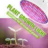 2er LED Pflanzenlampe E27 Zimmerpflanzen LED Grow Light Produktbild-Vorschau 3