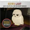 A white owl-shaped lamp, representing Hedwig from Harry Potter, is placed on a desk with a wand and keyboard visible. Anteprima dell’immagine prodotto