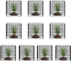 Pflanzenschutzkäfig für Gemüse - 10er-Set - 305x305x305mm - Produktbild-Vorschau 9