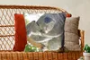 MuchoWow® Zierkissen Sofakissen Wohnzimmer Dekokissen 50x50 Produktbild-Vorschau 5