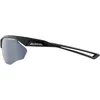 Sonnenbrille Alpina Nylos HR Black Matt/CM Black Produktbild-Vorschau 4