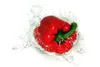 Ponthier PAPRIKA PÜREE ROT Gemüse-Püree 1KG Produktbild-Vorschau 4