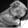 MuchoWow® Poster Koala - Schlafend - Schwarz - Kinder - Produktbild-Vorschau 1