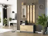 Framire Šatní skříň V-1Framire 90 x 160 x 30 cm antracit Náhled obrázku produktu 3