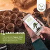 Semi di bonsai unici con alto tasso di germinazione - set Anteprima dell’immagine prodotto 5