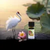 Lotus Amber Parfum Öl – 100 % reines Duftöl für Produktbild-Vorschau 1