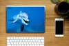 MuchoWow® Laptop Aufkleber Sticker Cover Delfin - Wasser - Produktbild-Vorschau 2
