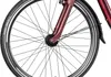 Adler Verona Wave vielseitiges Trekkingbike mit Produktbild-Vorschau 5