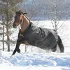 A horse wearing a black and gold blanket runs through the snow. Produktbild-Vorschau
