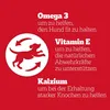 Pedigree Leckerbissen Junior – Kleine Hundesnacks für Produktbild-Vorschau 6