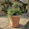 Teramico Premium Terracotta Untersetzer Ø 42 cm | Frostfest Produktbild-Vorschau 8