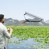 Râteau pour étang - Élimine les plantes aquatiques et les Voir les images du produit 8