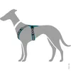 Hunter Maldon, Hund, Halftergeschirr, XS, Grau, Türkis, Produktbild-Vorschau 11